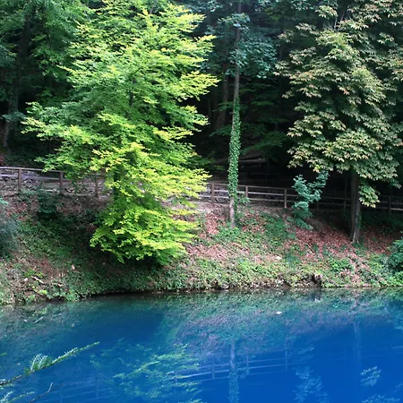 & Restaurant Ochsen 3*